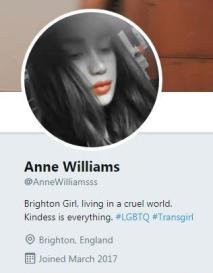 Anne Twitter profile