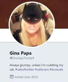 Gina Twitter profile